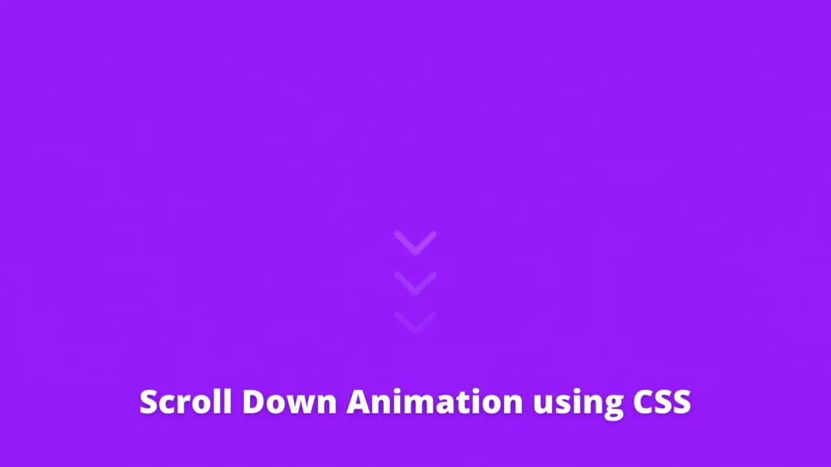 CSS Scroll Animation