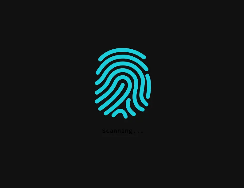 fingerprint scanner output with basic CSS